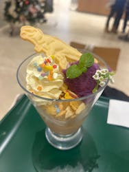 福井県立恐竜博物館に投稿された画像（2025/12/25）