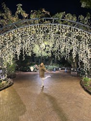 なばなの里に投稿された画像（2025/12/25）