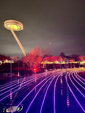 なばなの里に投稿された画像（2025/12/25）