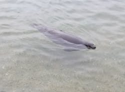 伊豆・三津シーパラダイスに投稿された画像（2025/12/25）