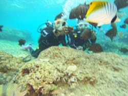 沖縄マリンサービス碧に投稿された画像（2025/12/25）