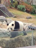 恩賜上野動物園に投稿された画像（2025/12/25）