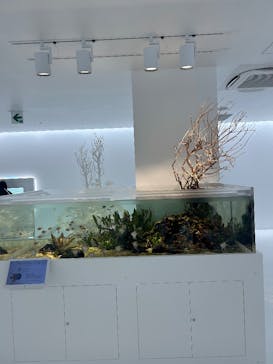 広島もとまち水族館に投稿された画像（2025/12/25）