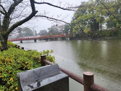 小田原城に投稿された画像（2025/12/25）