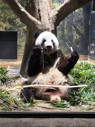 恩賜上野動物園に投稿された画像（2025/12/25）