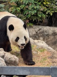 恩賜上野動物園に投稿された画像（2025/12/25）