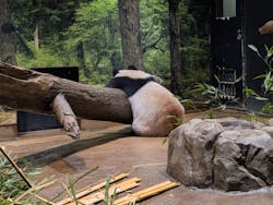 恩賜上野動物園に投稿された画像（2025/12/25）