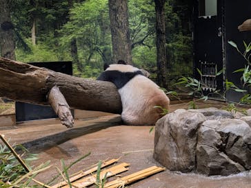 恩賜上野動物園に投稿された画像（2025/12/25）