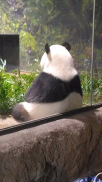 恩賜上野動物園に投稿された画像（2025/12/25）