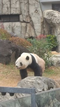 恩賜上野動物園に投稿された画像（2025/12/25）