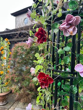 箱根ガラスの森美術館に投稿された画像（2025/12/25）