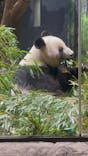 恩賜上野動物園に投稿された画像（2025/12/25）