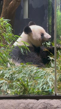恩賜上野動物園に投稿された画像（2025/12/25）