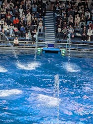 マクセル アクアパーク品川に投稿された画像（2025/12/25）