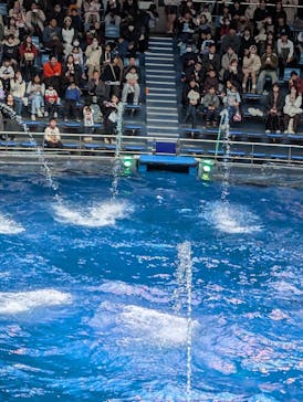 マクセル アクアパーク品川に投稿された画像（2025/12/25）