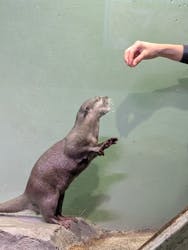 マクセル アクアパーク品川に投稿された画像（2025/12/25）