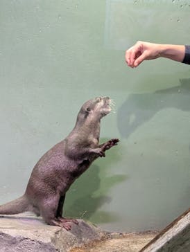 マクセル アクアパーク品川に投稿された画像（2025/12/25）