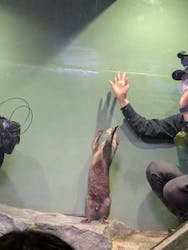 マクセル アクアパーク品川に投稿された画像（2025/12/25）