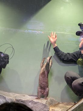 マクセル アクアパーク品川に投稿された画像（2025/12/25）