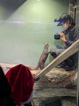 マクセル アクアパーク品川に投稿された画像（2025/12/25）