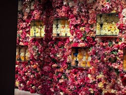 NARA KINGYO MUSEUMに投稿された画像（2025/12/25）