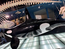 名古屋港水族館に投稿された画像（2025/12/25）