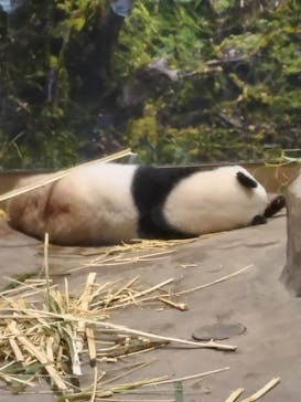 恩賜上野動物園に投稿された画像（2025/12/25）
