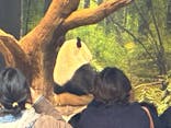 恩賜上野動物園に投稿された画像（2025/12/25）