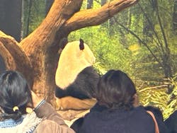 恩賜上野動物園に投稿された画像（2025/12/25）