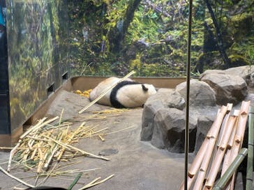 恩賜上野動物園に投稿された画像（2025/12/25）