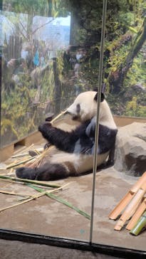 恩賜上野動物園に投稿された画像（2025/12/25）