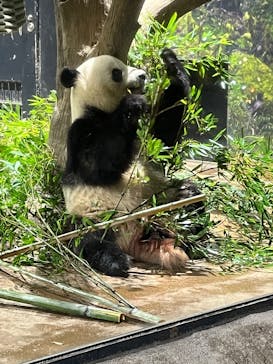 恩賜上野動物園に投稿された画像（2025/12/25）