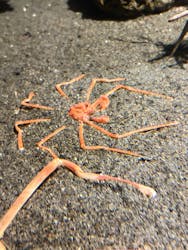 竹島水族館に投稿された画像（2025/12/25）