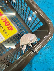 竹島水族館に投稿された画像（2025/12/25）