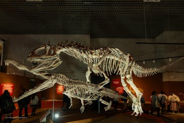 特別展「大絶滅展―生命史のビッグファイブ」に投稿された画像（2025/12/25）