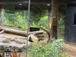 恩賜上野動物園に投稿された画像（2025/12/25）