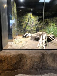 恩賜上野動物園に投稿された画像（2025/12/25）