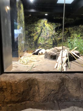 恩賜上野動物園に投稿された画像（2025/12/25）