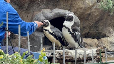 サンシャイン水族館に投稿された画像（2025/12/25）