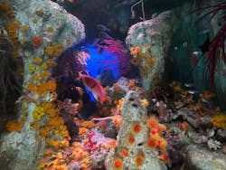 サンシャイン水族館に投稿された画像（2025/12/25）