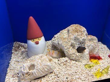 サンシャイン水族館に投稿された画像（2025/12/25）