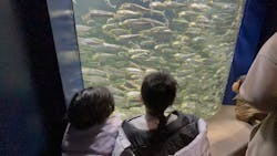 サンシャイン水族館に投稿された画像（2025/12/25）