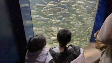 サンシャイン水族館に投稿された画像（2025/12/25）