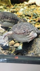 カワスイ 川崎⽔族館に投稿された画像（2025/12/25）