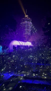 江の島シーキャンドルに投稿された画像（2025/12/25）