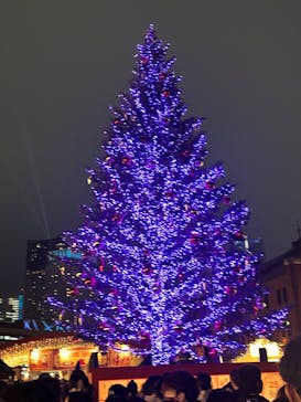 Christmas Market in 横浜赤レンガ倉庫 2025に投稿された画像（2025/12/25）