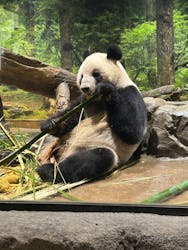 恩賜上野動物園に投稿された画像（2025/12/25）