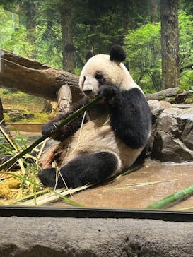 恩賜上野動物園に投稿された画像（2025/12/25）
