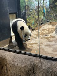 恩賜上野動物園に投稿された画像（2025/12/25）