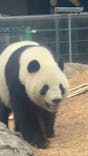 恩賜上野動物園に投稿された画像（2025/12/25）